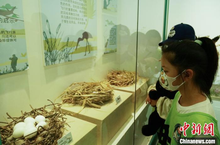 圖為小朋友在青海西寧湟水國家濕地公園科普館內(nèi)參觀學習?！●R銘言 攝