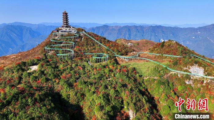 巴山大峽谷彩林迎來最佳觀賞期。　姚盛 攝