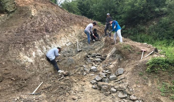 2018年玉海翼角魚野外發(fā)掘采集現(xiàn)場(chǎng)?！∩w志琨 攝