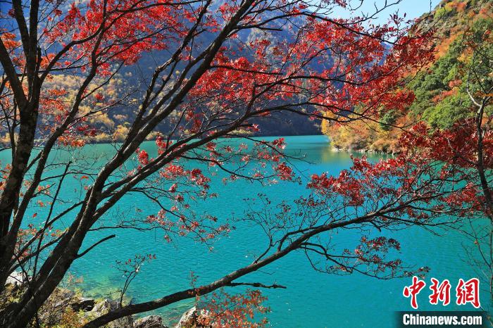 松坪溝風(fēng)光?！『吻搴?攝