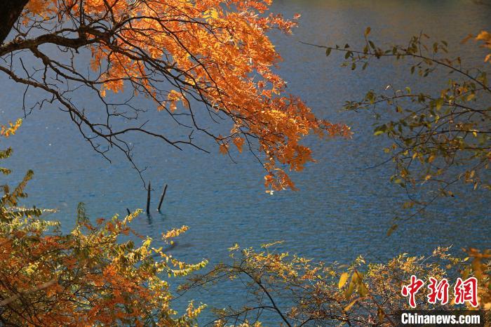 松坪溝風(fēng)光?！⑼?攝