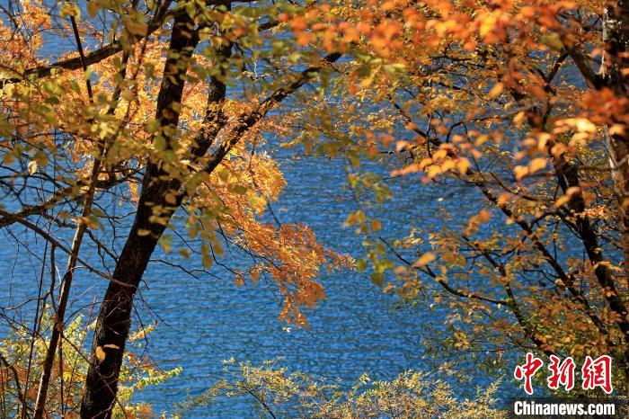 松坪溝風(fēng)光?！⑼?攝