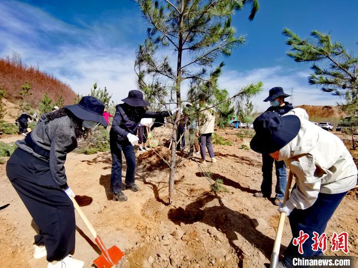 圖為西寧市城東區(qū)干部職工參加義務(wù)植樹?！?zhí)砀?攝
