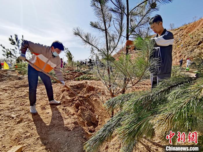 圖為西寧市城東區(qū)義務(wù)植樹活動現(xiàn)場?！?zhí)砀?攝