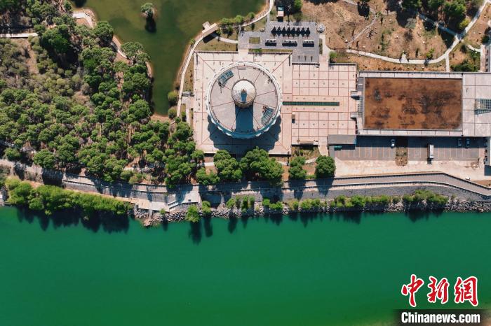 航拍青海貴德黃河岸畔綠意濃濃?！≮w凜松 攝