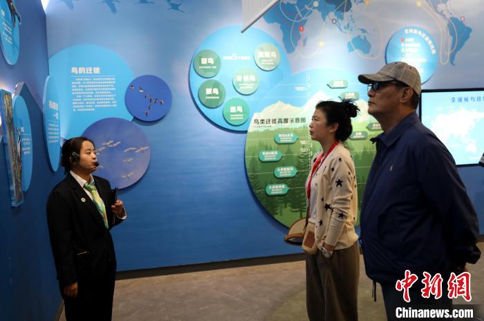 圖為臺商在祁連山國家公園生態(tài)科普館內(nèi)聆聽講解?！⊙Φ?攝
