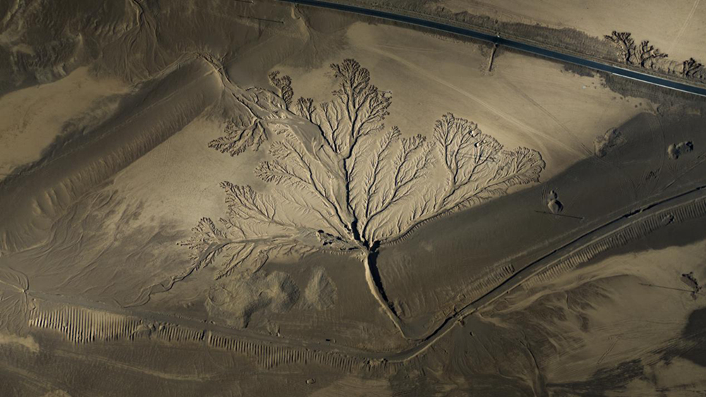 無人機視角下的西藏阿里地區(qū)改則縣“大地之樹”景觀。尼瑪多吉攝