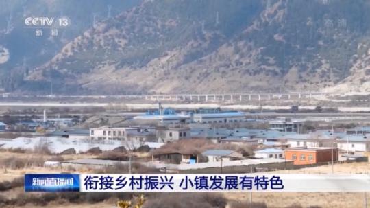 種蘑菇、養(yǎng)駱駝...。。特色產(chǎn)業(yè)助力鄉(xiāng)村振興走新路