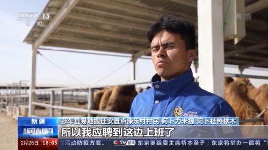 種蘑菇、養(yǎng)駱駝...。。特色產(chǎn)業(yè)助力鄉(xiāng)村振興走新路