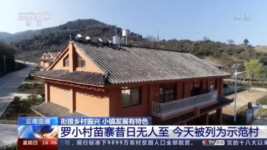 種蘑菇、養(yǎng)駱駝...。。特色產(chǎn)業(yè)助力鄉(xiāng)村振興走新路