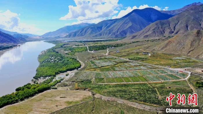 圖為桑日縣葡萄種植基地。　山南桑日縣委宣傳部提供