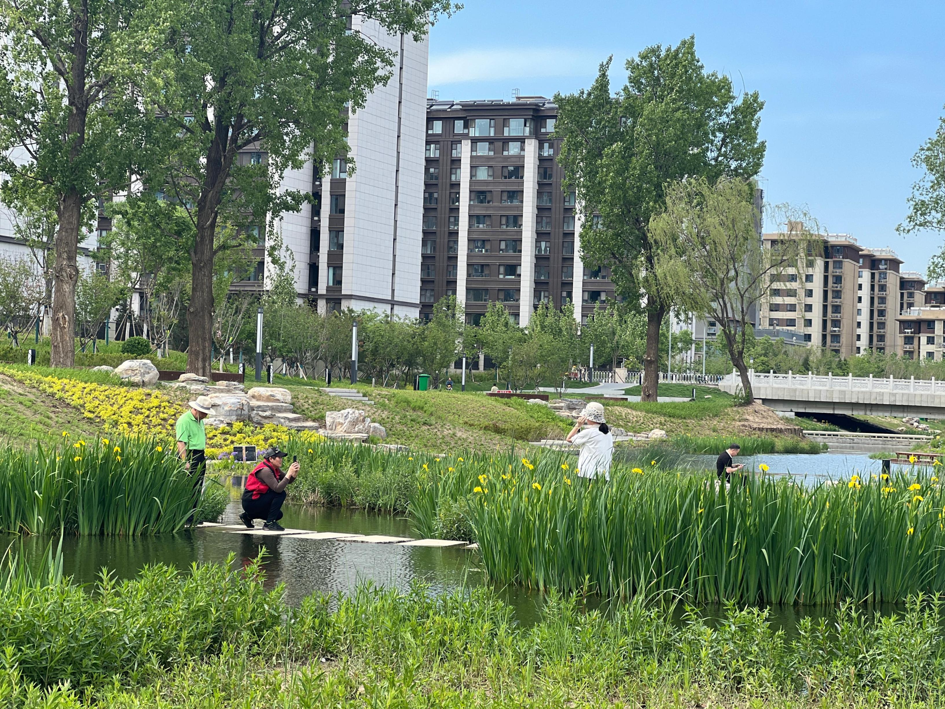 五一渠生態(tài)濱河公園內(nèi)，市民正在拍照留念。人民網(wǎng) 歐陽易佳攝