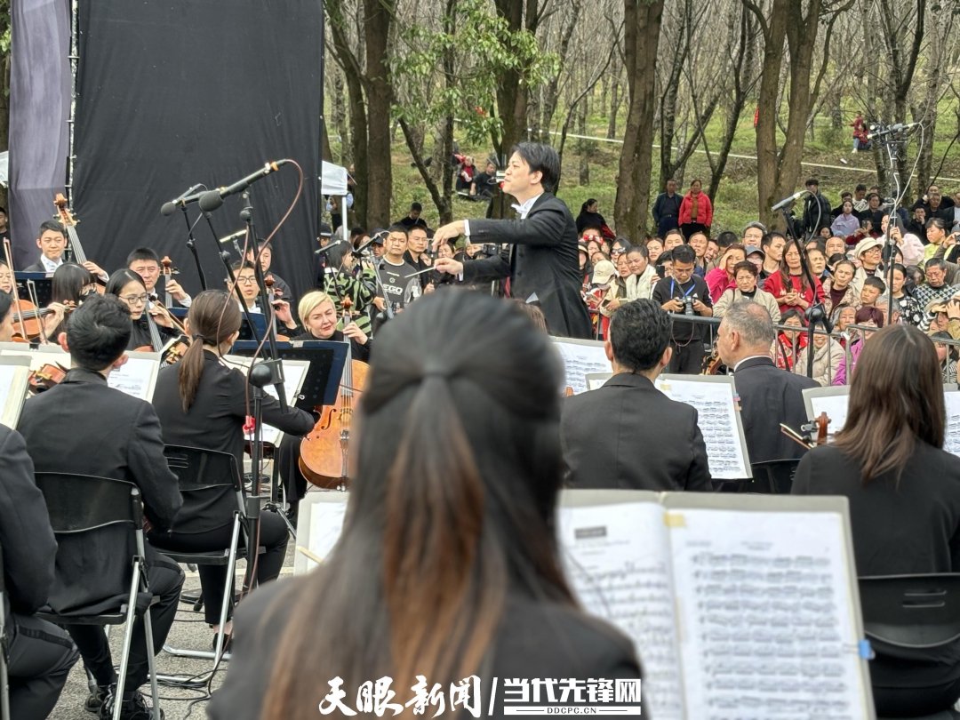 貴陽路邊音樂會·貴安櫻花園專場交響樂現(xiàn)場。丁亞 文丹 攝