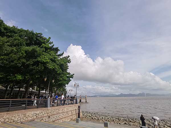 紅樹(shù)林灘涂沿線(xiàn)一角。人民網(wǎng)記者 張素玲攝