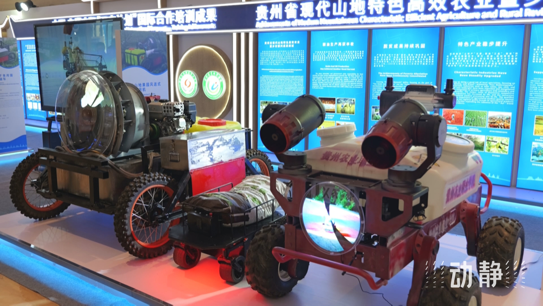 展示成果分享經(jīng)驗，中國—東盟教育交流周深化合作共創(chuàng)未來！
