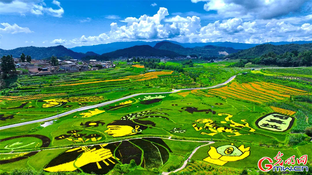 云南清水：延伸公共法律服務(wù)觸角，讓普法與民族團(tuán)結(jié)進(jìn)步互促共融