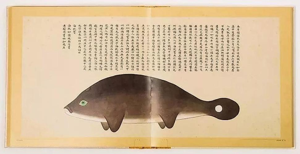 文化中國(guó)行 長(zhǎng)江之歌丨微笑的江豚，從四千年前“游”來
