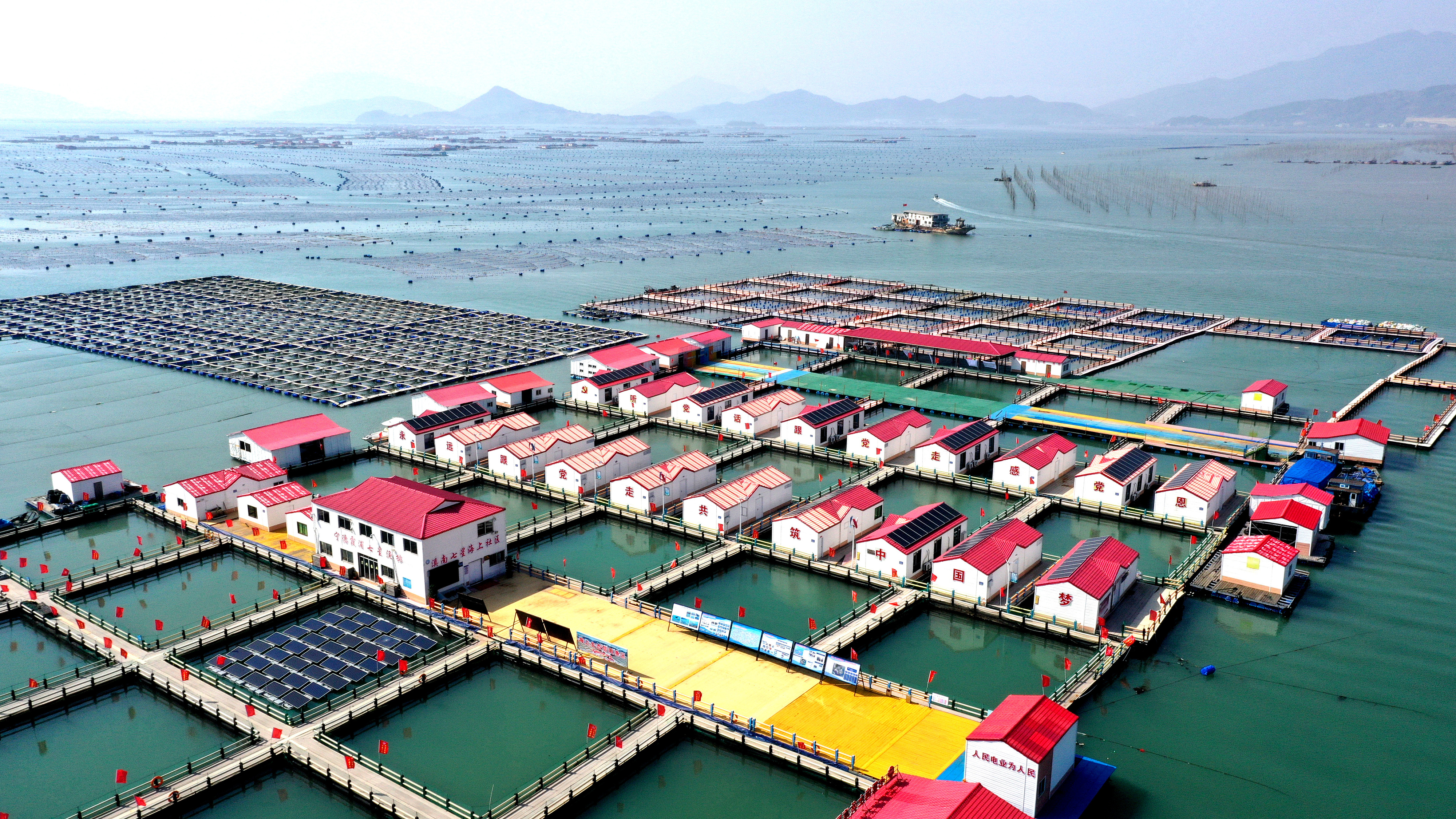 2024年3月20日，福建省寧德市，霞浦縣溪南鎮(zhèn)七星村漁排養(yǎng)殖示范區(qū)，漁民駕駛養(yǎng)殖船進(jìn)行海參養(yǎng)殖作業(yè)。