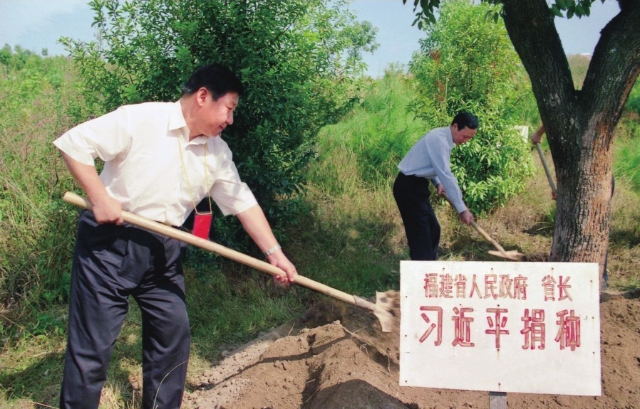 2001年10月，習近平在龍巖市長汀縣調研水土流失治理工作，在河田世紀生態(tài)園為樹培土。圖源：《習近平在福建（下）》
