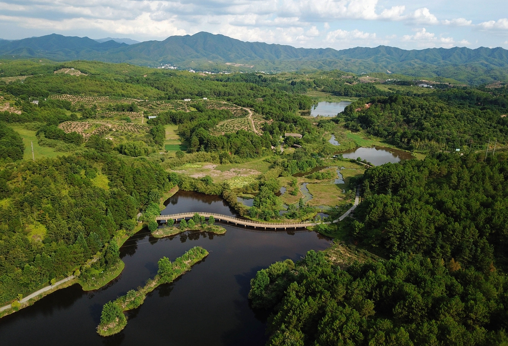 福建省龍巖市長汀縣的長汀汀江國家濕地公園景色（2020年7月28日攝，無人機照片）。新華社記者 魏培全 攝