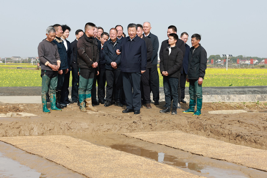 2024年3月18日至21日，中共中央總書記、國家主席、中央軍委主席習近平在湖南考察。這是19日下午，習近平在常德市鼎城區(qū)謝家鋪鎮(zhèn)港中坪村走進田間，察看秧苗培育和春耕備耕進展。新華社記者 王曄 攝