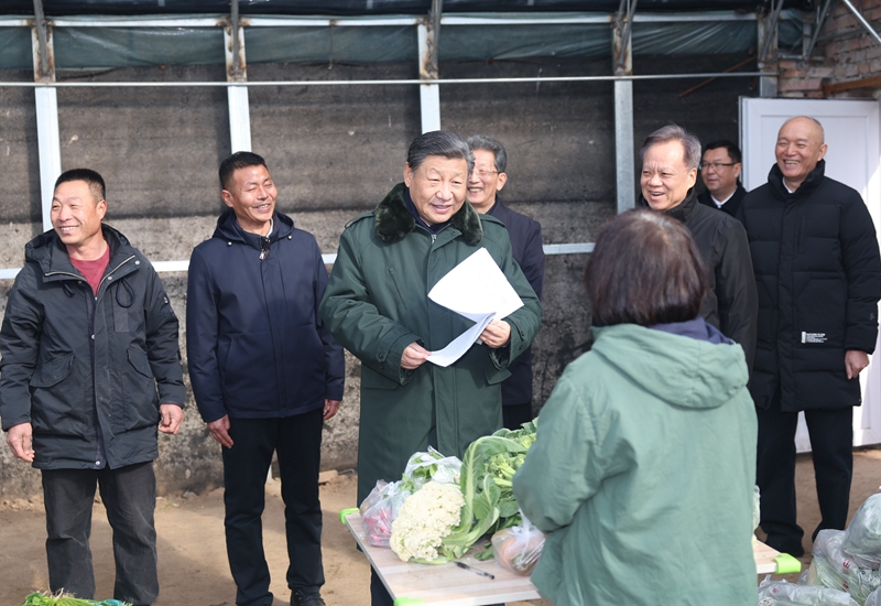 2024年2月1日，習(xí)近平總書記在天津市西青區(qū)辛口鎮(zhèn)第六埠村，走進(jìn)大棚同菜農(nóng)親切交流。