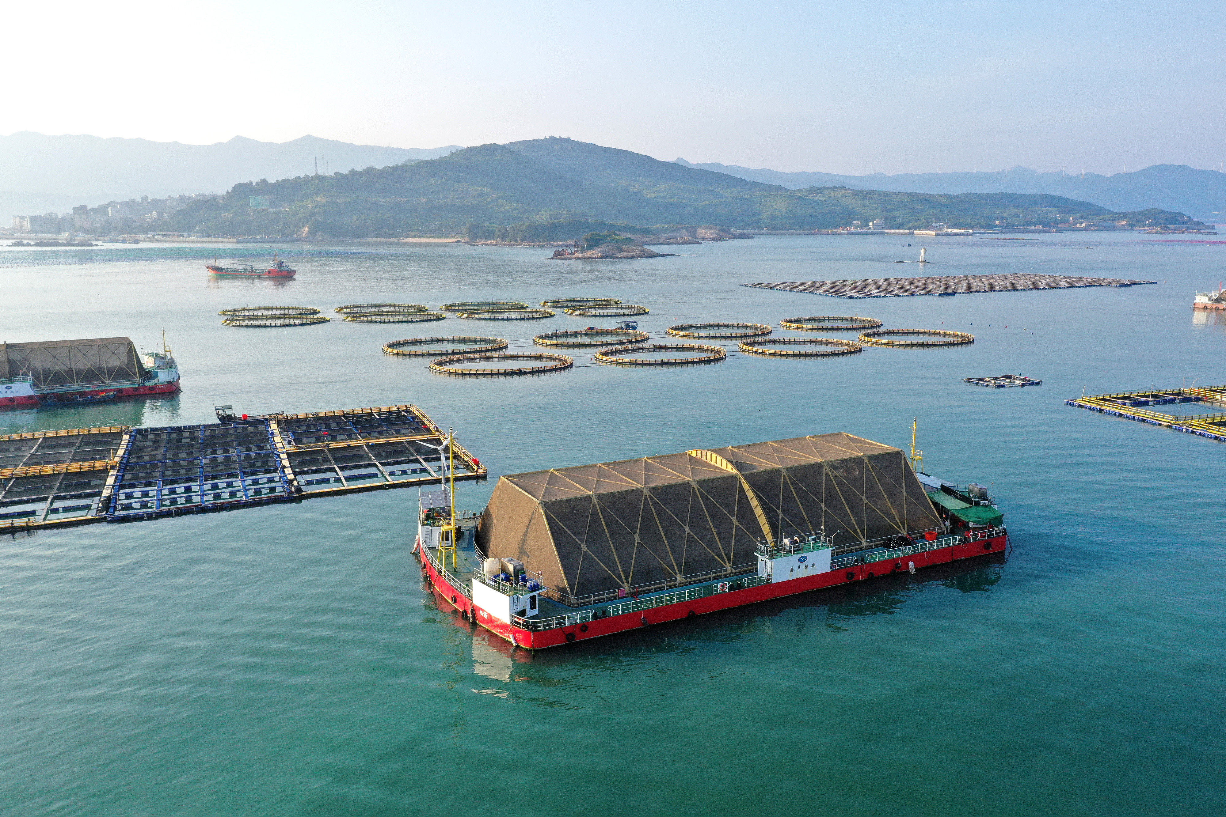 2024年9月10日拍攝的福建省福州市連江縣定海灣海域的現(xiàn)代化“海上糧倉”。