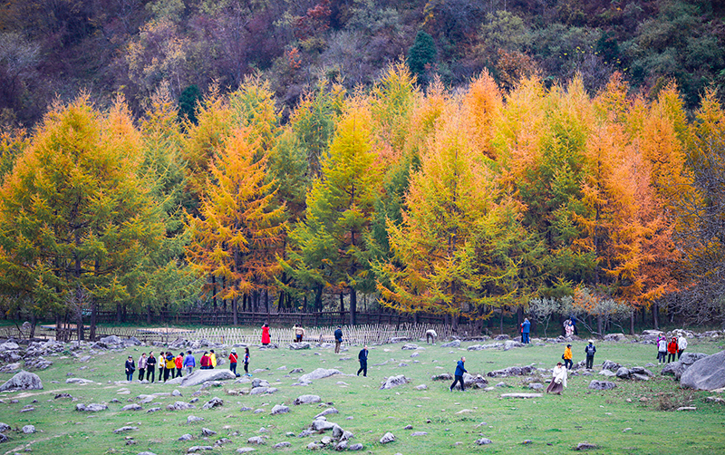 2023年10月27日，深秋時節(jié)的陜西秦嶺太子嶺漫山紅黃、色彩交織，進(jìn)入最佳觀賞期。