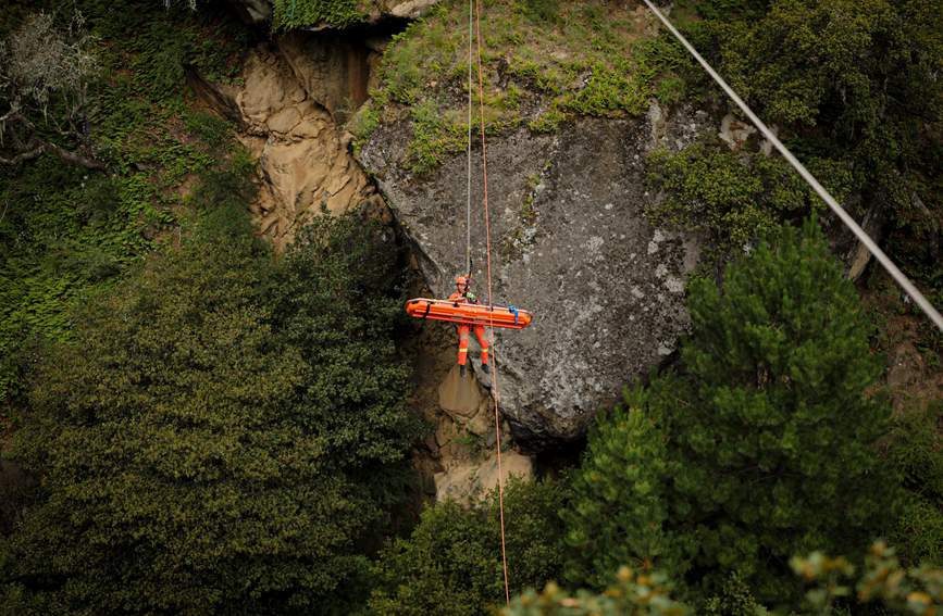叢林中的橙色身影。西繞拉翁攝
