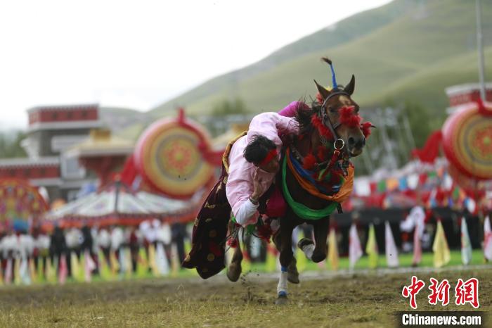 青海玉樹：70年，幸福生活如格桑花綻放
