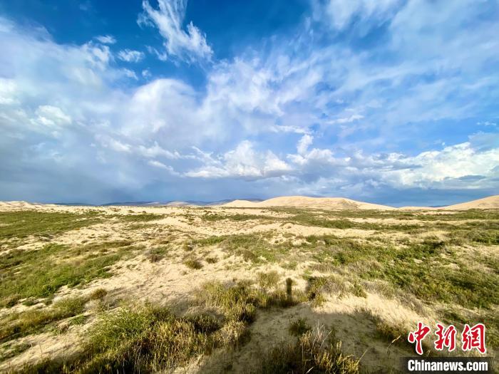 圖為關(guān)停四年后的沙島景區(qū)現(xiàn)狀?！±罱瓕?攝