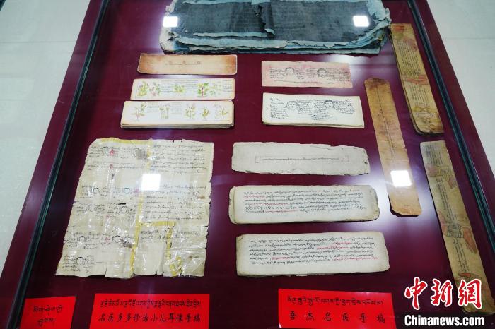圖為藏醫(yī)古集文獻和藏醫(yī)臨床原始手稿?！●R銘言 攝