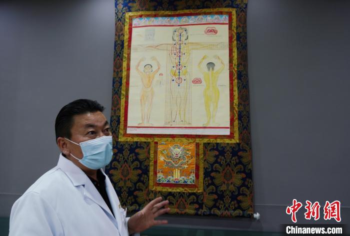 圖為興?？h藏醫(yī)院院長介紹藏醫(yī)四部醫(yī)典詳實圖?！●R銘言 攝