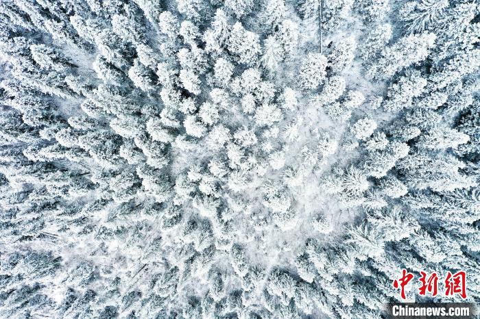 壤塘的雪后美景?！∪捞量h融媒體中心供圖