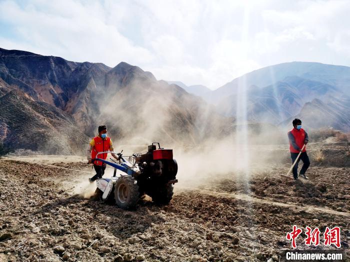 圖為拖拉機(jī)在山地犁地。　張?zhí)砀?攝