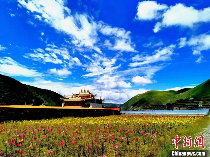 近百畝百合花競相開放，景色誘人?！∪捞量h委宣傳部供圖