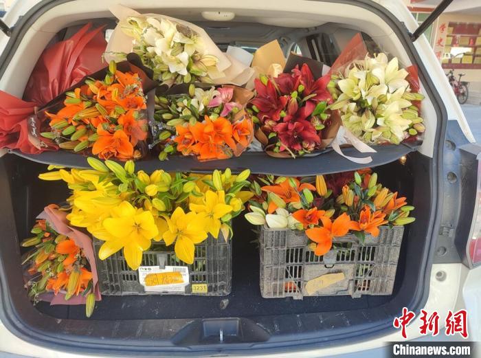 剛剛采摘下來的百合花?！∪捞量h委宣傳部供圖
