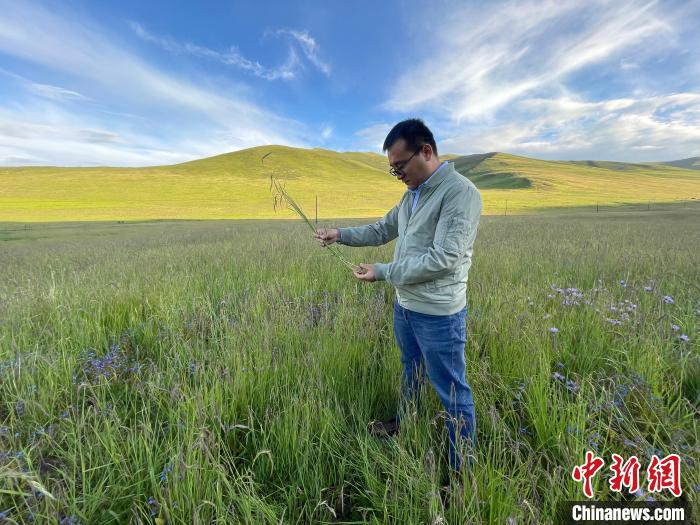 青海達(dá)日“援青縣長(zhǎng)”：雪域高原生態(tài)、民生“并蒂花開(kāi)”