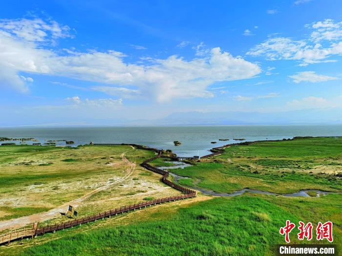 圖為航拍都蘭湖國家濕地公園?！∑钤鲚?攝