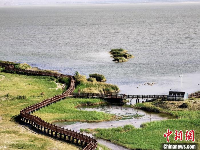 圖為都蘭湖國(guó)家濕地公園觀光棧道?！∑钤鲚?攝