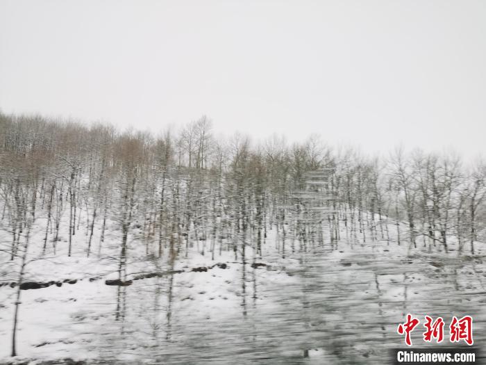 圖為青海青沙山區(qū)域被降雪覆蓋?！?zhí)砀?攝