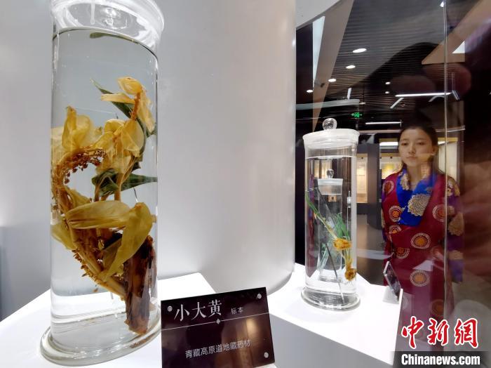 青海中藏醫(yī)藥發(fā)展提速：建設(shè)一批重點?？茖W科，推廣一批適宜技術(shù)