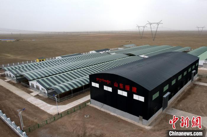 圖為航拍生態(tài)畜牧業(yè)集中規(guī)模化養(yǎng)殖基地。　蔡志睿 攝