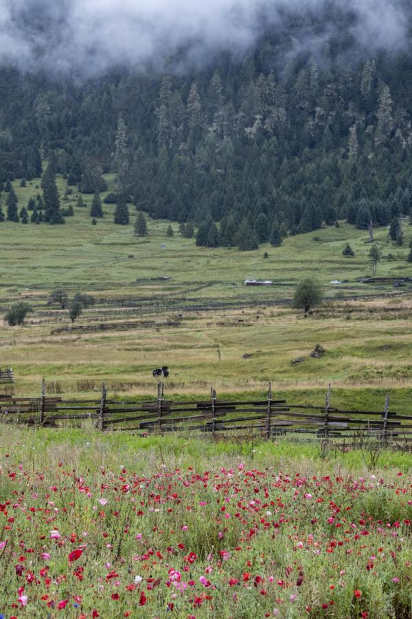 跟我，踏上最美“景觀大道”