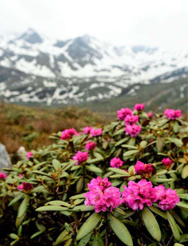 跟我，踏上最美“景觀大道”