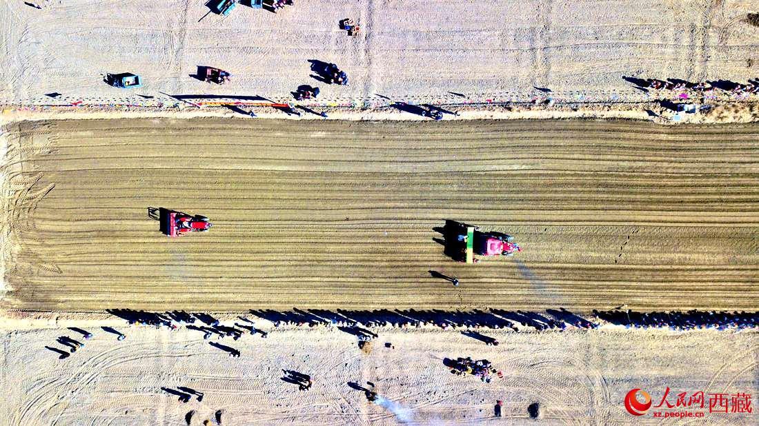 山南市扎囊縣扎其鄉(xiāng)孟卡榮村迎來春耕第一犁。人民網(wǎng) 次仁羅布攝