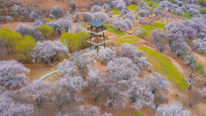 林芝嘎拉村。 張靜攝