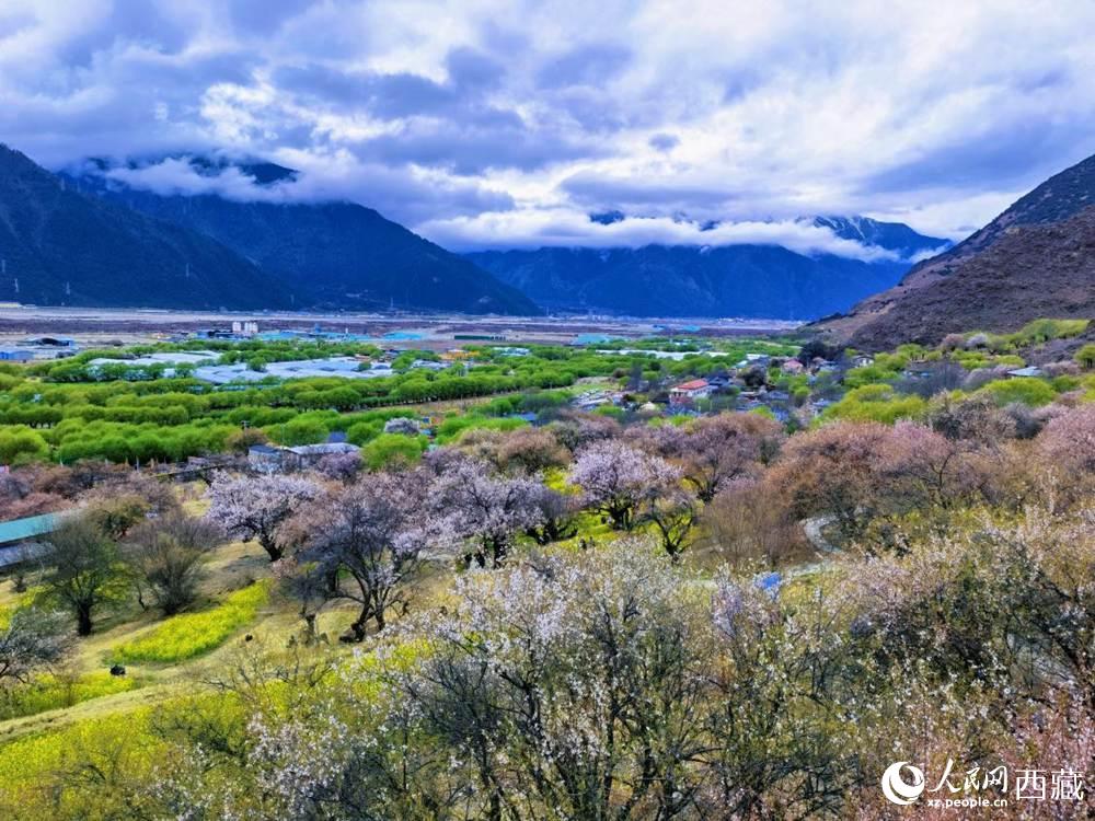 桃花從中的“童話小鎮(zhèn)”。人民網(wǎng) 李海霞攝