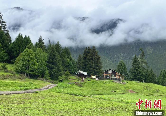 6月10日，魯朗小鎮(zhèn)高山牧場景區(qū)風光。　冉文娟 攝