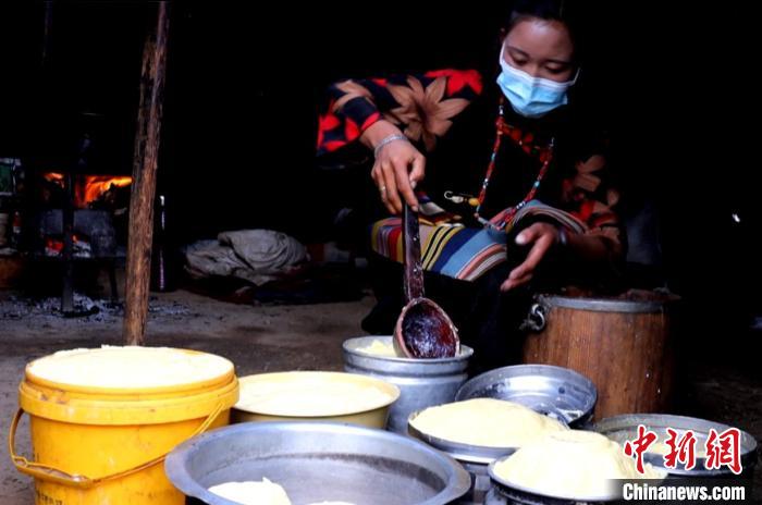 圖為牧民正在制作酥油?！∪湛t文聯(lián)供圖